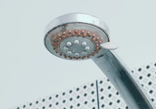 shower-head